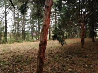 5065 Cole Ridge Rd, Beechgrove, TN 37018-3711