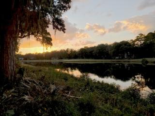 1 Whitetail Ln, Savannah, GA 31411-2874