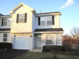 1235 Whispering Hills Dr, Naperville IL  60540-0903 exterior