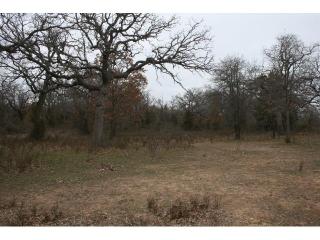 803 3rd St, Springtown TX  76082-3025 exterior