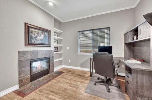 16138 Amber Rock Ct, Parker CO  80134-3556 exterior