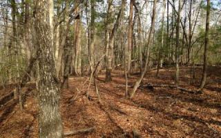 293 Hooper Rd, Cleveland, GA 30528-0037