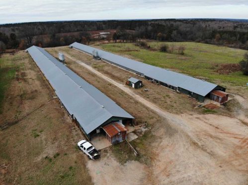 165 Lower Wirebridge Rd, Stephens, GA 30667-1601