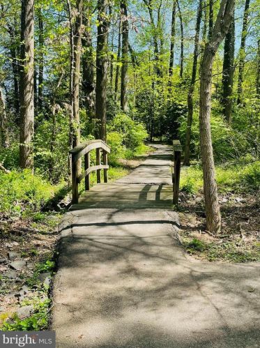 6100 Heron Pond Ct, Springfield VA  22015-3738 exterior