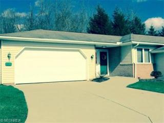 116 Anderson Cv, Lodi, OH 44254-1300