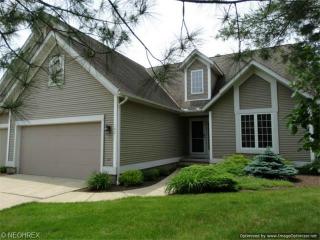 102 Wynewood Pl, Concord Township, OH 44024-1457