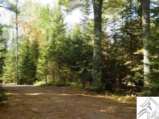 13496 Pine Rd, Ely, MN 55731-8183