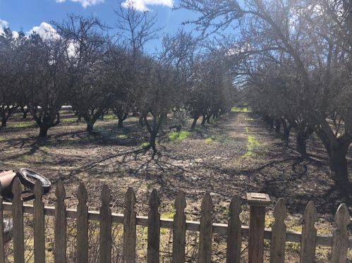 8625 River Oaks Dr, Valley Home, CA 95361-9257