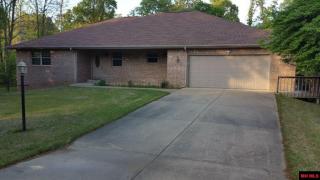 235 Sanders Pl, Lakeview, AR 72642-9119
