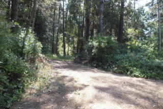 44551 Raven Ln, Mendocino, CA