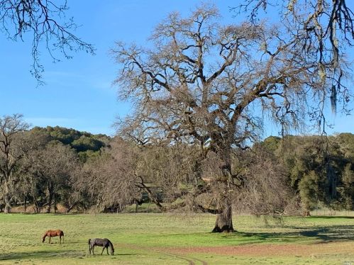 2001 Vichy Springs Rd, Ukiah CA 95482-4135 exterior