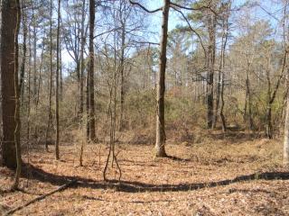 2662 Arbor Hill Rd, Holly Springs, GA 30115-7010