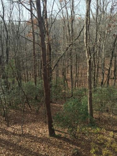 220 Coachwhip Ct, Big Canoe GA  30143-9304 exterior