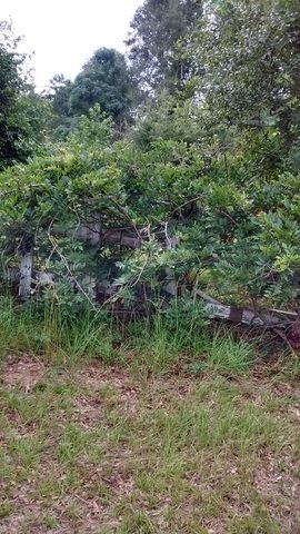 1771 Mill Pond Rd, Denmark, SC 29042-9265