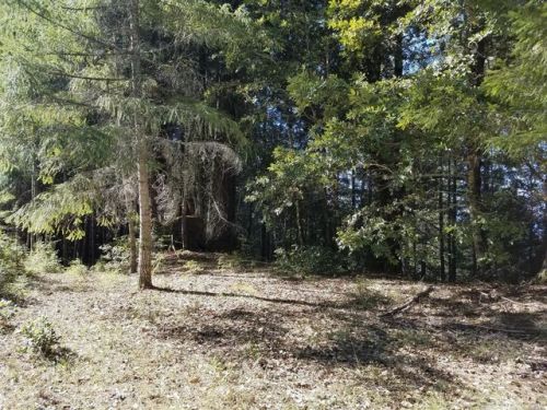 26760 Ridge Rd, Willits, CA 95490-8494