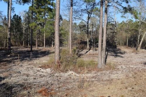 120 Oakhurst Ct, Oakfield, GA 31772-7002
