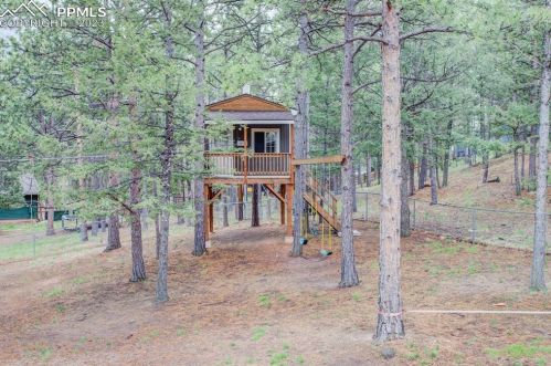 411 Evergreen Cir, Woodland Park CO 80863-2393 exterior