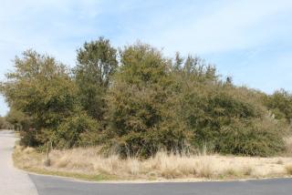 761 Gulfstream Ct, Corolla, NC 27927-9626