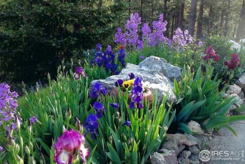 6138 Sunshine Canyon Dr, Boulder CO  80302-9719 exterior