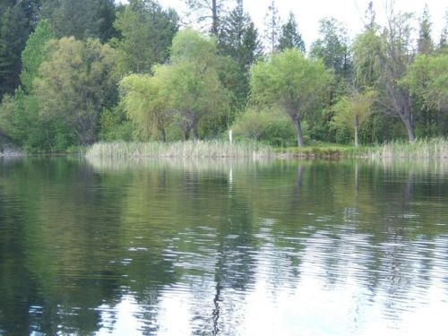 440 Lake Rd, Helena, CA