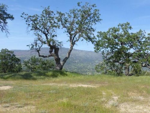 30670 Sheeptrail Ct, Tehachapi, CA 93561-8564