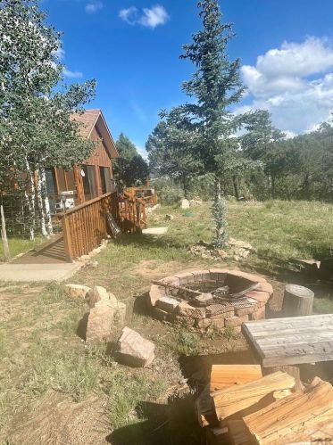 845 Durfee Cir, Horn Creek, CO 81252-8561