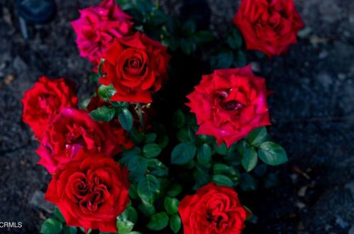 5028 Ramsdell Ave, Glendale CA 91214-1962 exterior