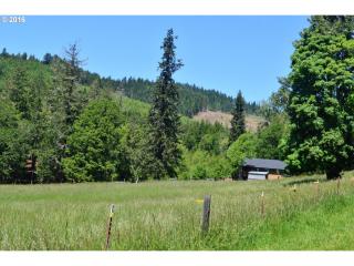 76946 Harvey Dr, Oakridge, OR 97463-2027