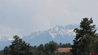 201 Fisher Canyon Dr, Ridgway, CO 81432-8960