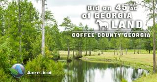 499 Pinewood Rd, Bickley, GA 31554-5238