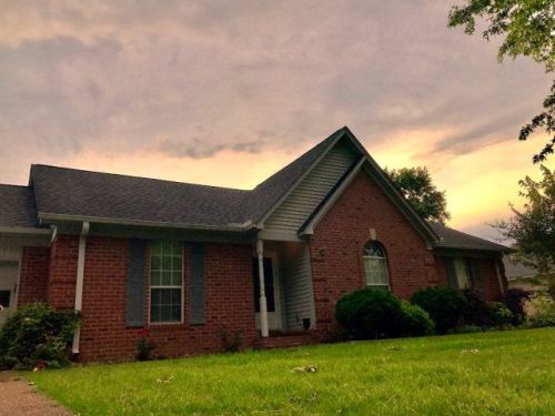 713 Sanders Bluff Rd, Three Way, TN 38343-8538