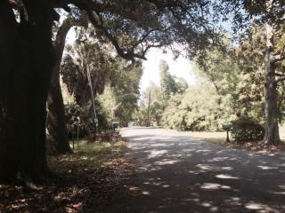 1005 Resca De La Palma St, Pascagoula, MS 39567-1230