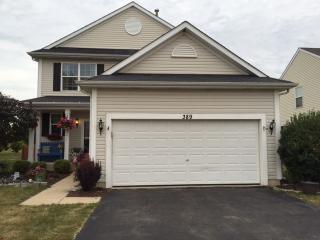 389 Grape Vine Trl, Oswego, IL 60543-6008