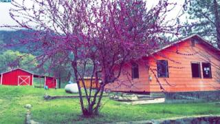 37699 Kings Canyon Rd, Dunlap, CA 93621-9715