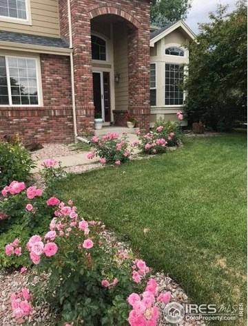 5719 White Willow Dr, Fort Collins CO  80528-6320 exterior