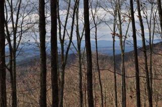 15 Wilderness Trl, Ellijay, GA 30540-0214