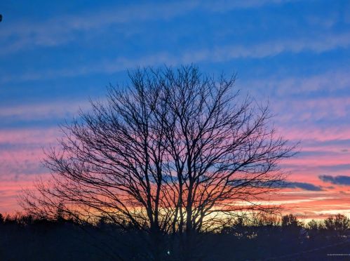 38 Sunset St, Thomaston, ME 04861-3510