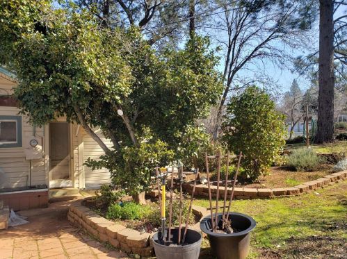 2731 Sunrise Dr, Meadow Vista, CA 95722-9476