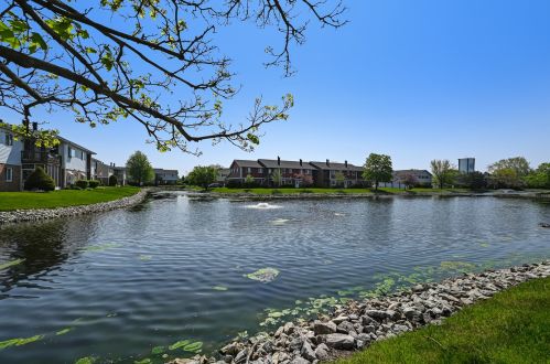 7225 Willow Way Ln, Willowbrook IL  60527-5562 exterior