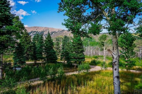 277 Thompson Rd, Wahatoya CO  81055-9648 exterior