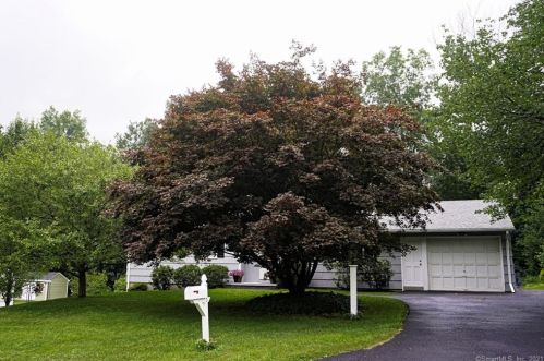 115 Dorothy Dr, Torrington, CT 06790-4212