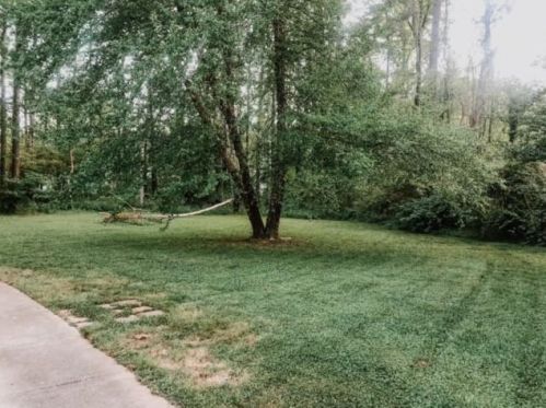 3063 Black Gum Ct, Kennesaw, GA 30152-3350