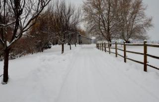 3004 62nd Ave, Yakima, WA 98903-9570