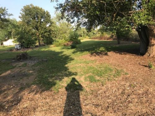 285 Rudolph St, Cedar Gap, MO 65746-8920