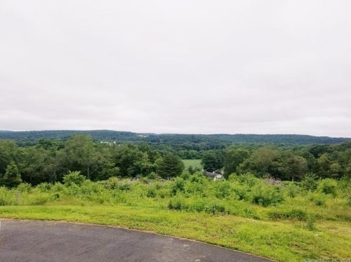 16 Goulart Dr, Bozrah, CT 06334-1113