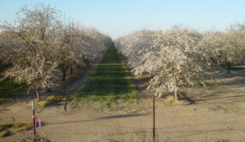 22680 Road 20 1/2, Sharon, CA 93610-9590