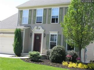 1591 Greenfield Ln, Concord Township OH  44077-6118 exterior