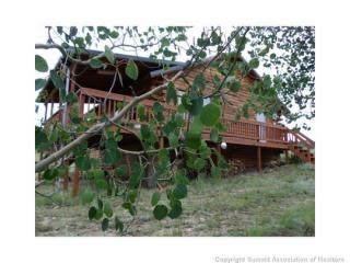 538 Kiowa St, Fairplay, CO 80456