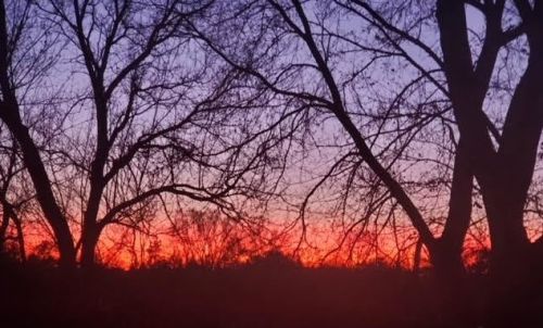 1478 Berkley Ct, Bannockburn IL 60015-2114 exterior