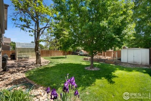 2906 Querida St, Fort Collins CO  80526-3742 exterior